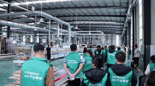 尋本溯源丨河北經(jīng)銷商實(shí)地探廠,揭秘千山板材背后的全產(chǎn)業(yè)鏈實(shí)力 舟中敵國網(wǎng)