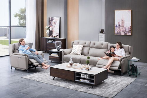 芝華仕 頭等艙榮膺中國(guó)500最具價(jià)值品牌